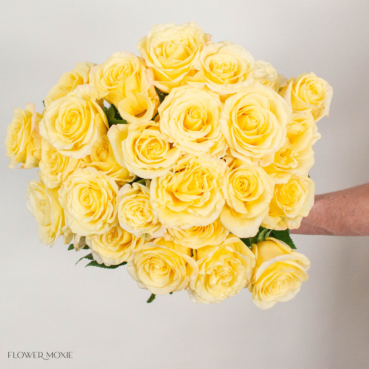Light Yellow Bella Donna Rose
