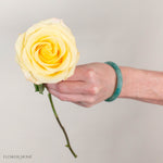 Light Yellow Bella Donna Rose
