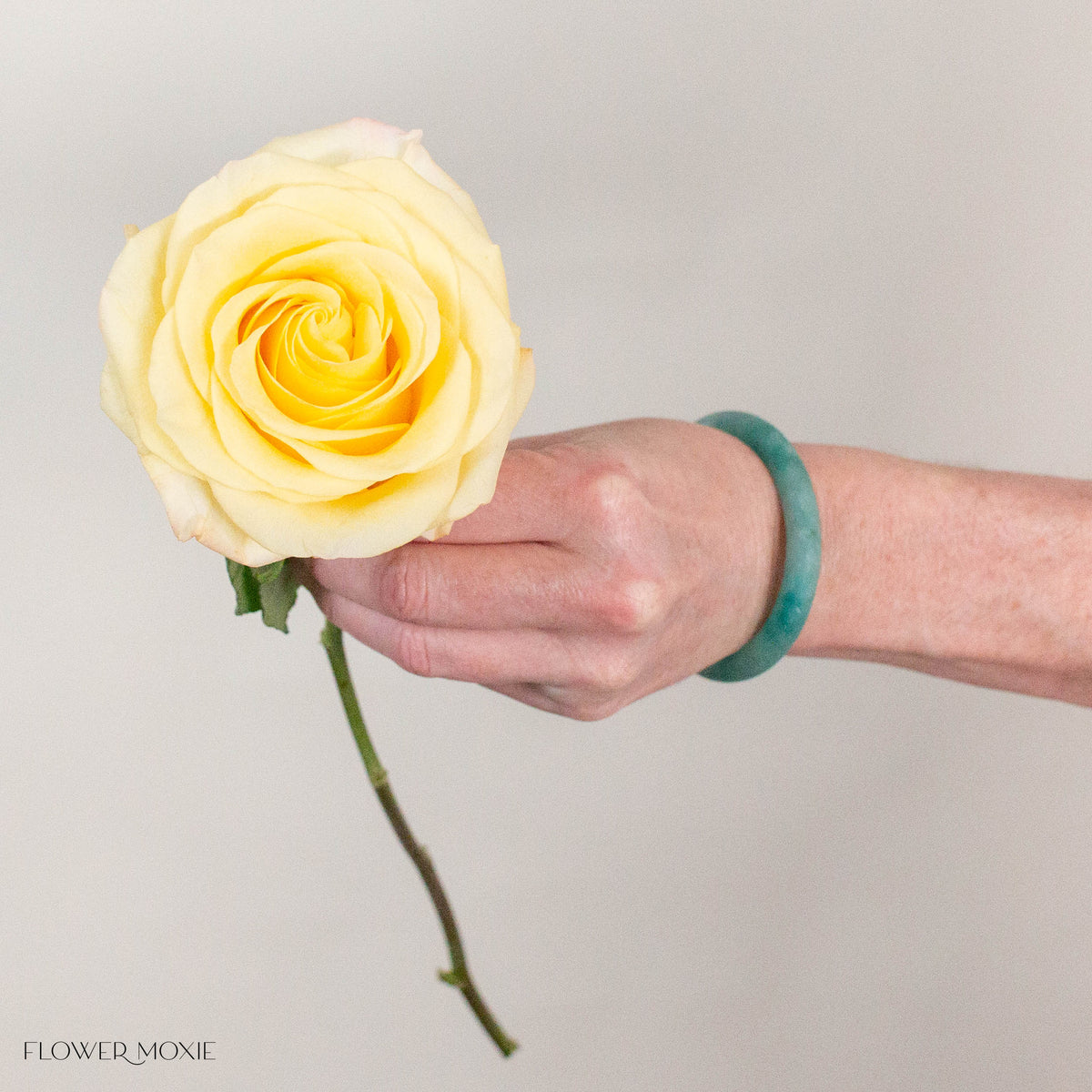Light Yellow Bella Donna Rose
