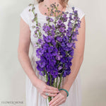 Giant Purple Hybrid Delphinium Flower