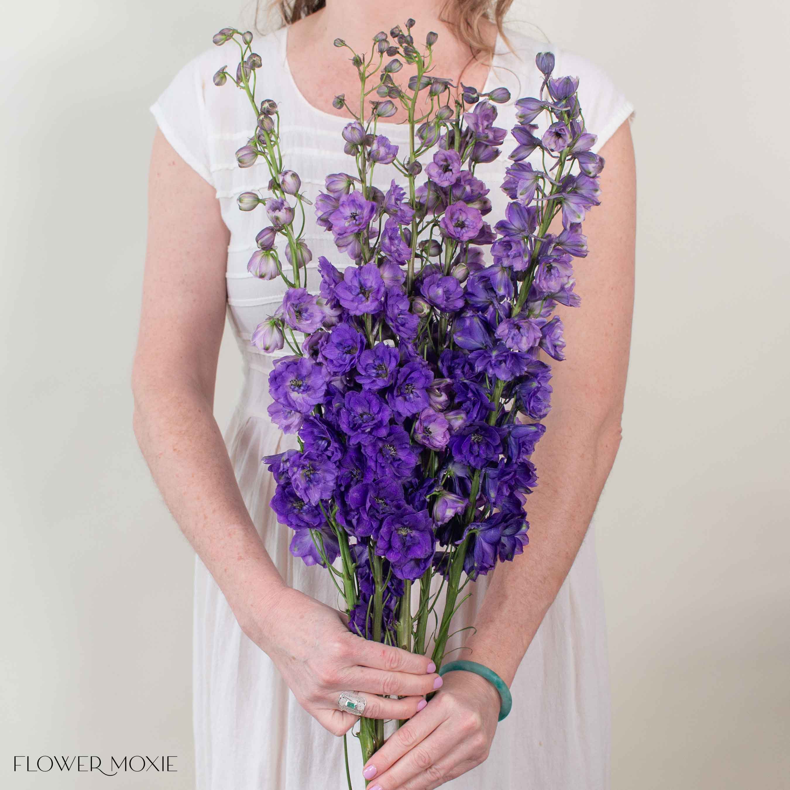 Giant Purple Hybrid Delphinium Flower