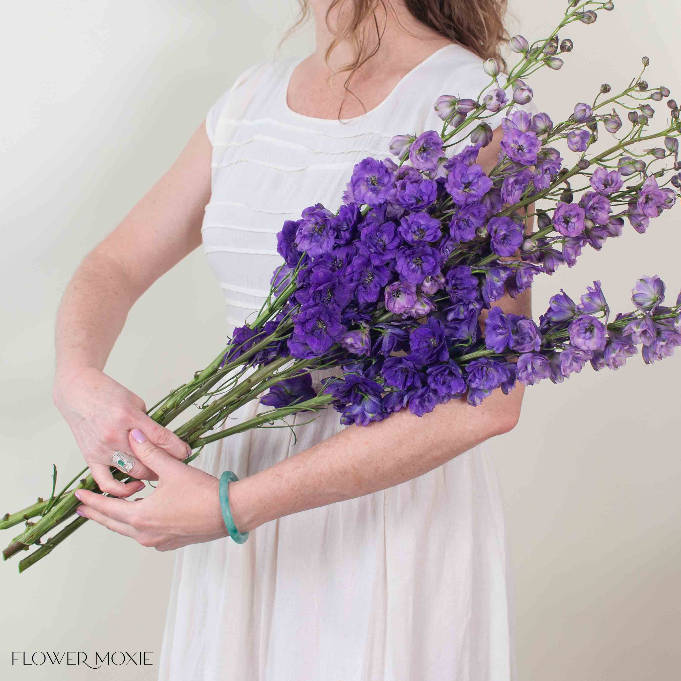 Giant Purple Hybrid Delphinium Flower
