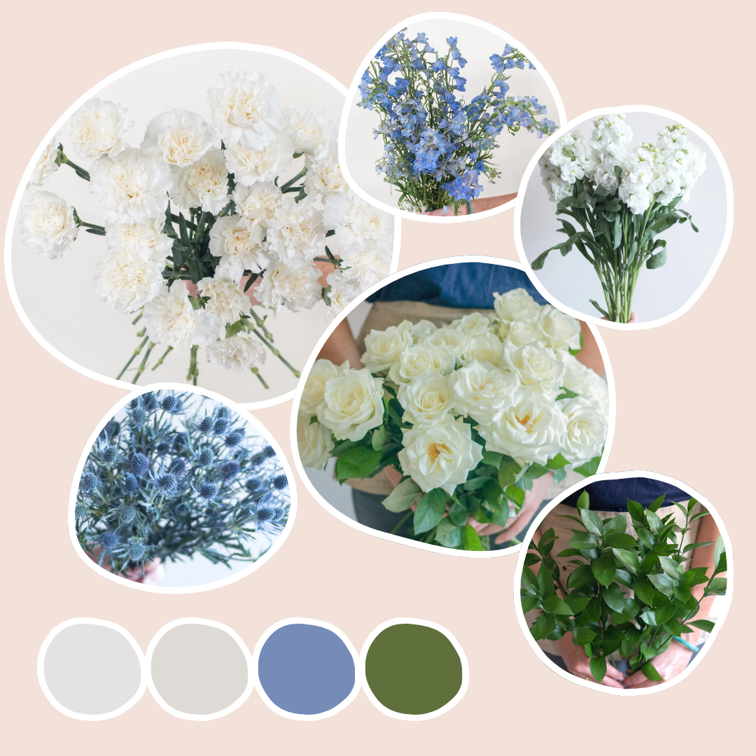 Blue Ceremony Mixed Box