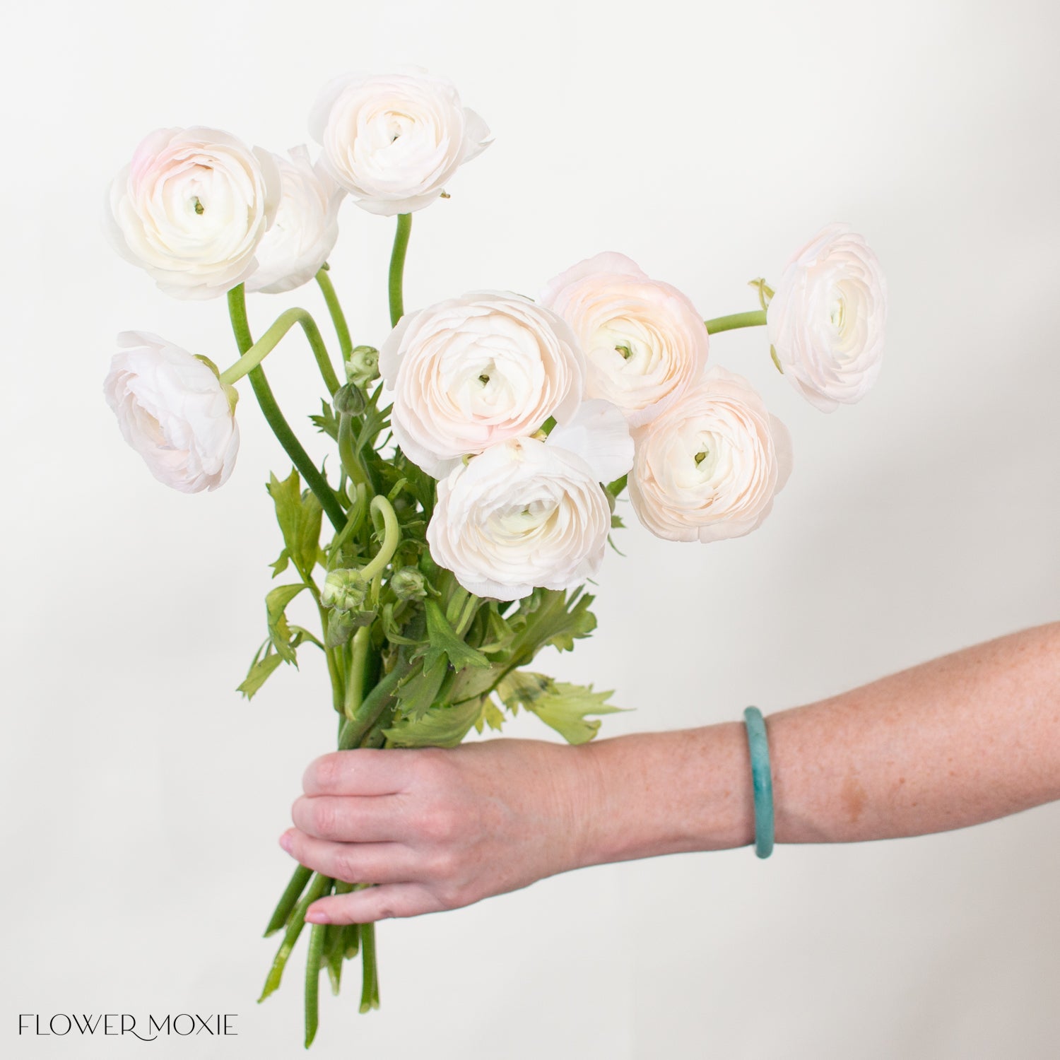 Blush Hanoi Ranunculus Flower