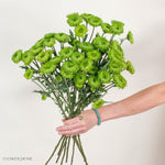 Green Cushion Pom Flower