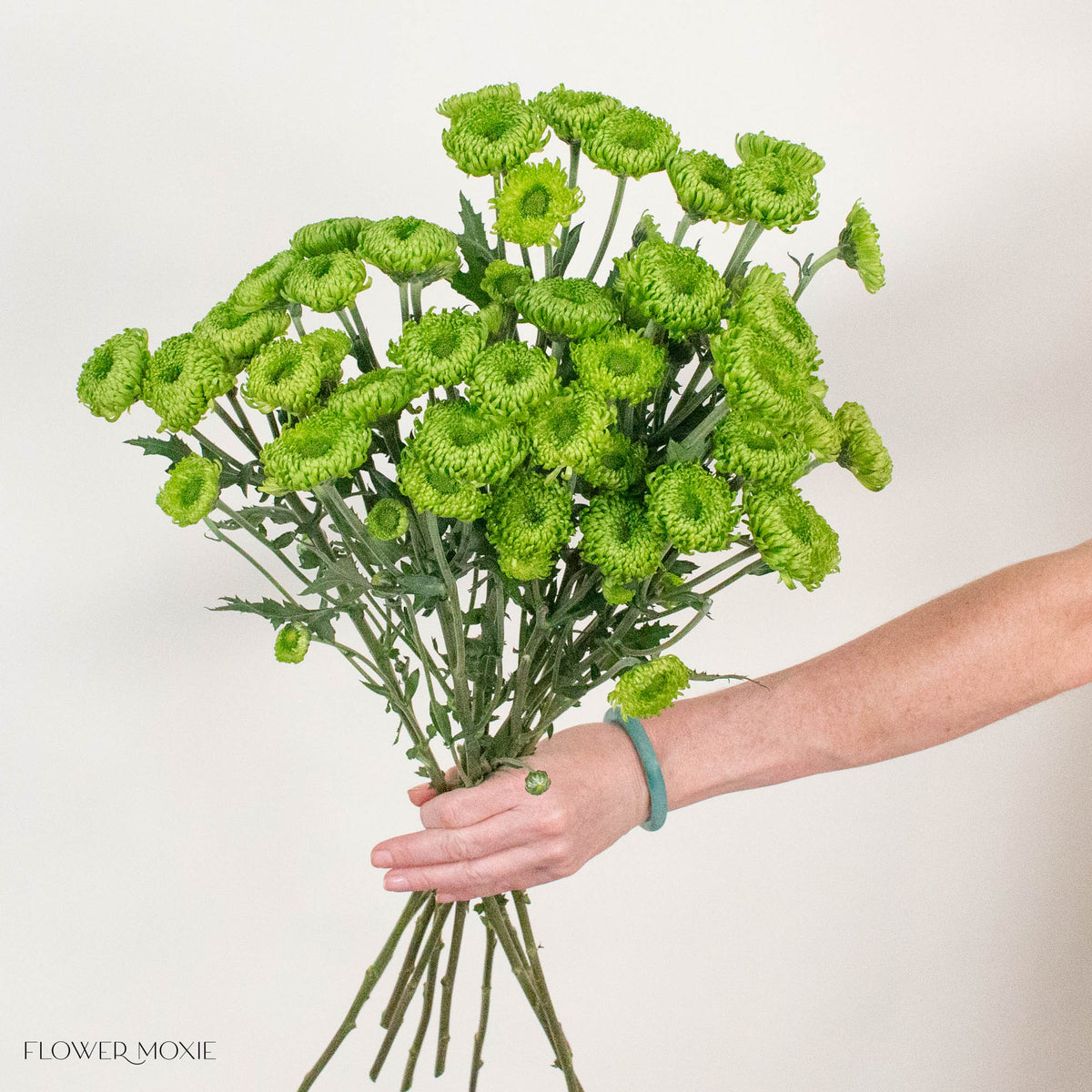 Green Cushion Pom Flower