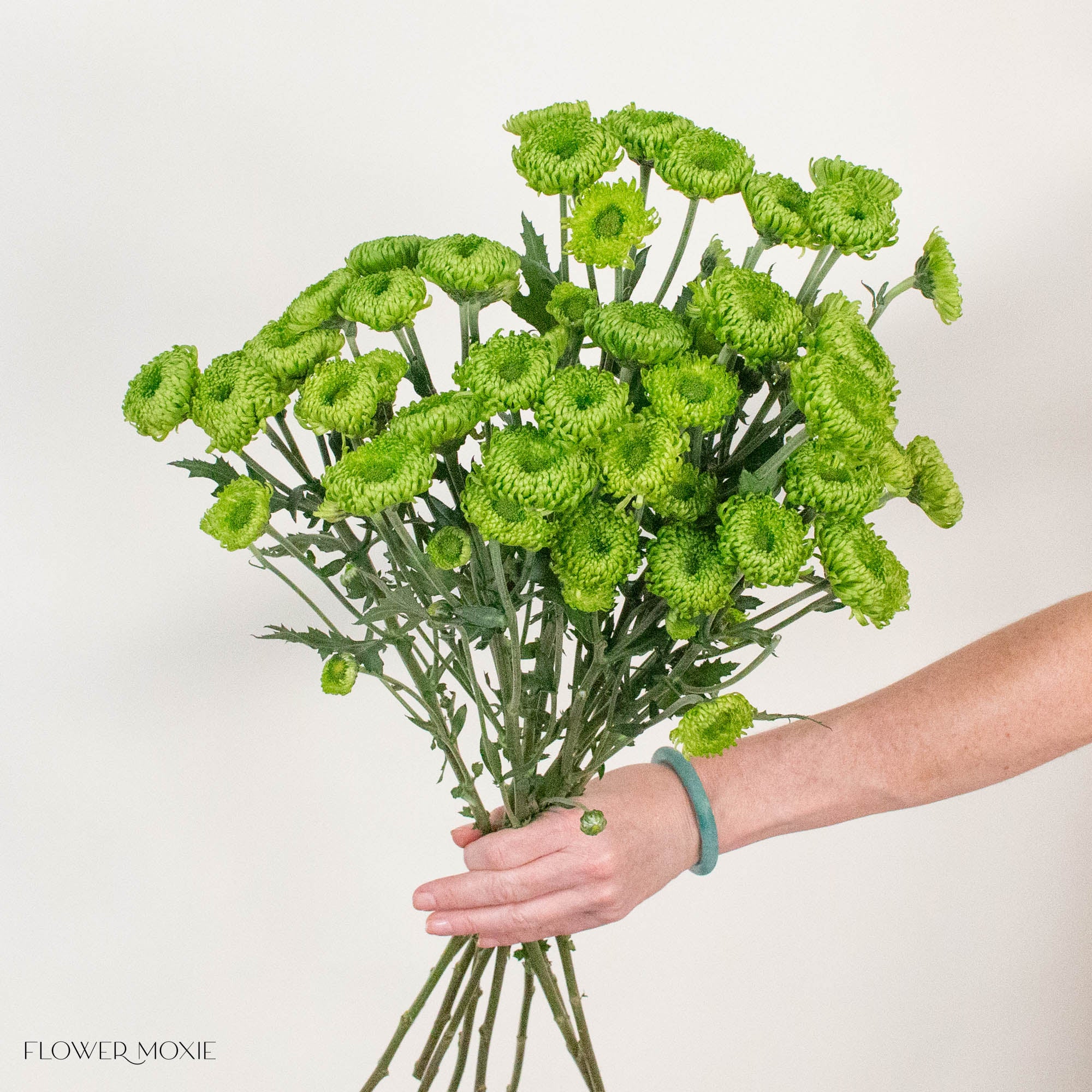 Green Cushion Pom Flower