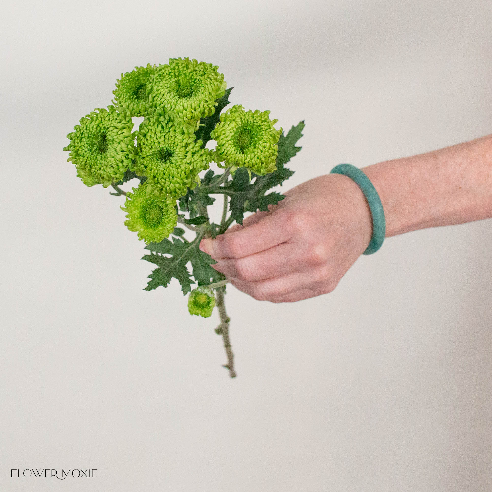 Green Cushion Pom Flower