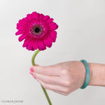 Boost Deep Pink Mini Gerbera
