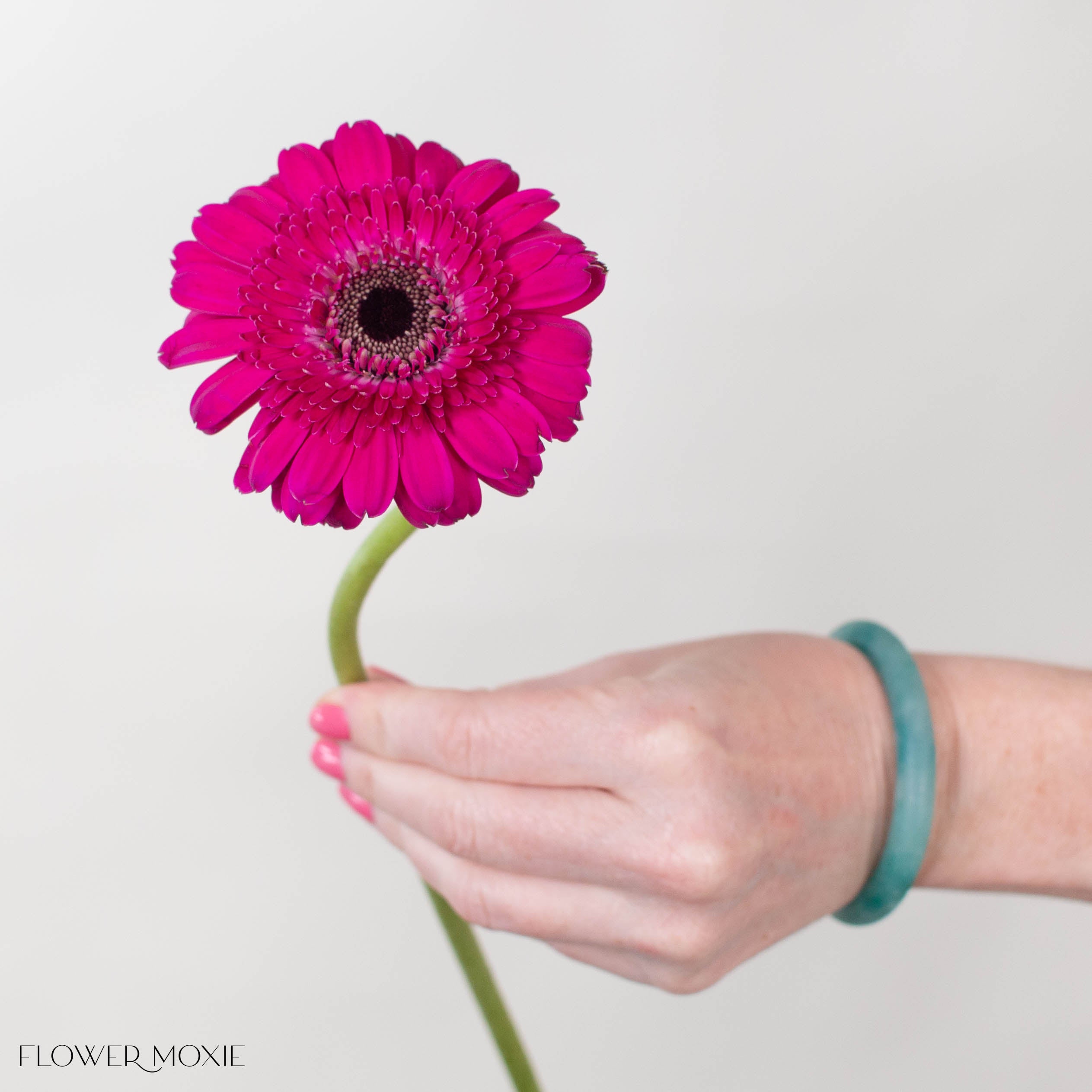 Boost Deep Pink Mini Gerbera
