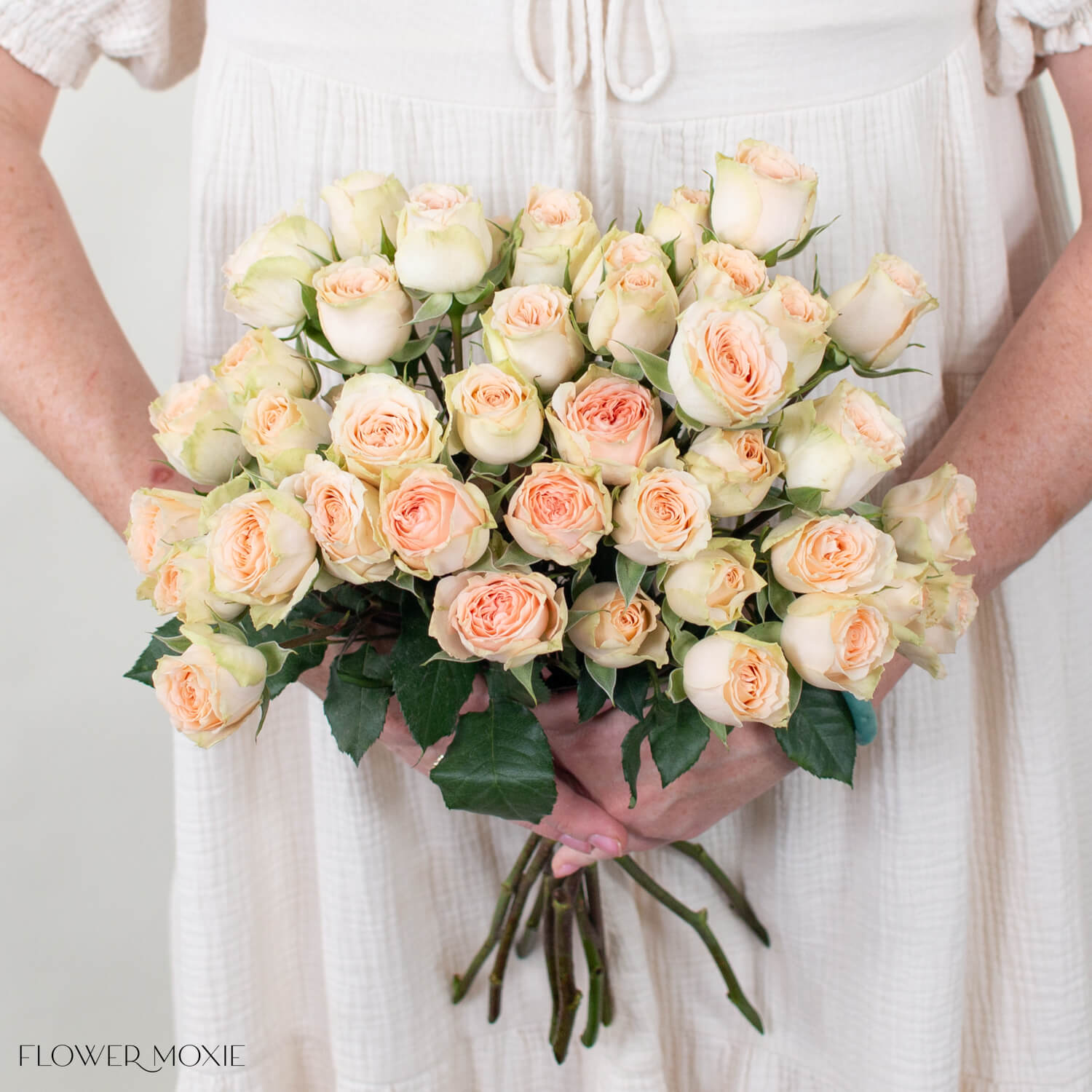 Peach Capricorn Spray Roses