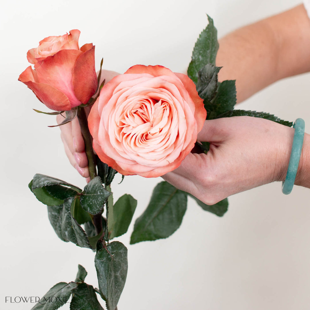 Peach Kahala Roses | Fresh DIY Wedding Flowers | Flower Moxie