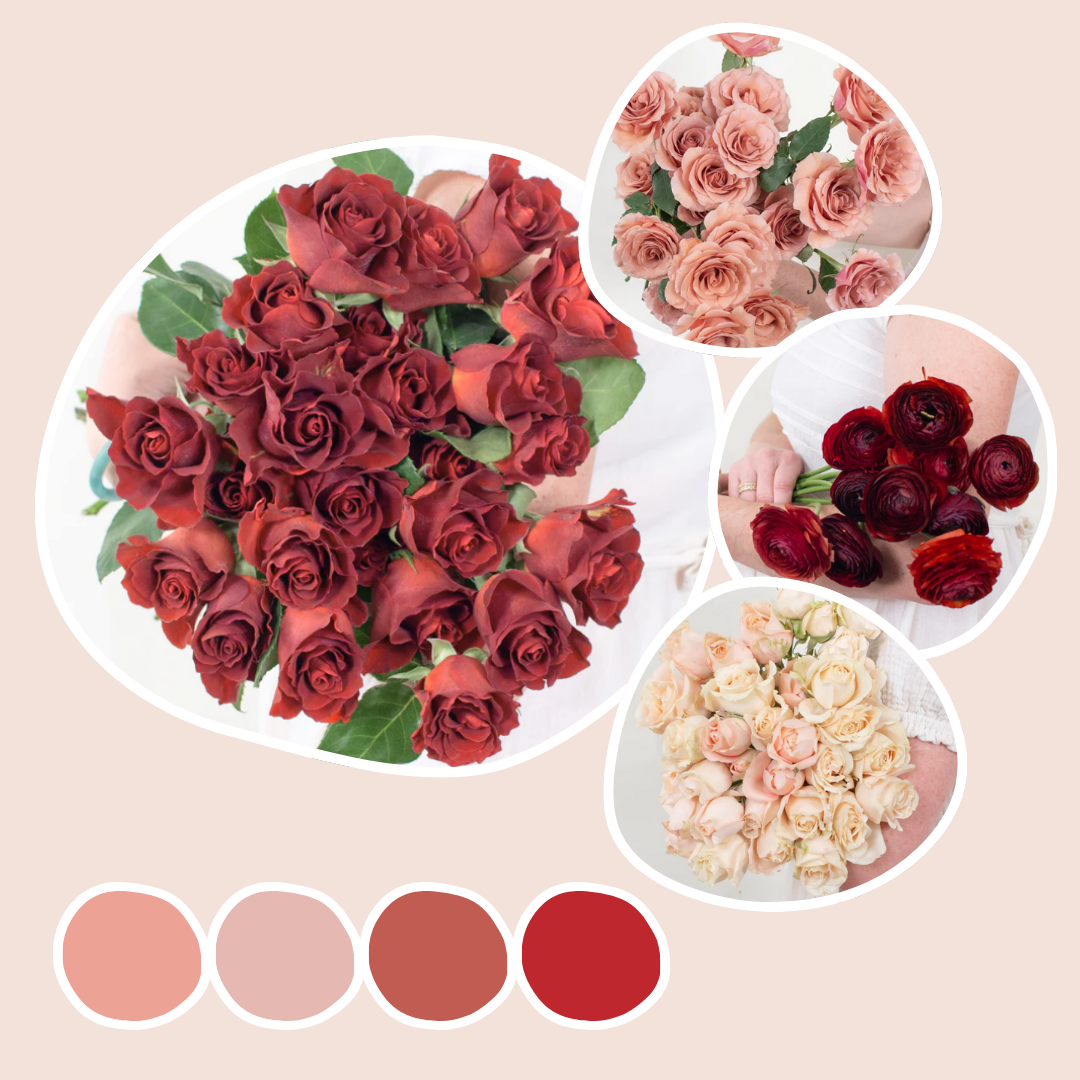 Burgundy Mixed Box – Chocolate Truffle
