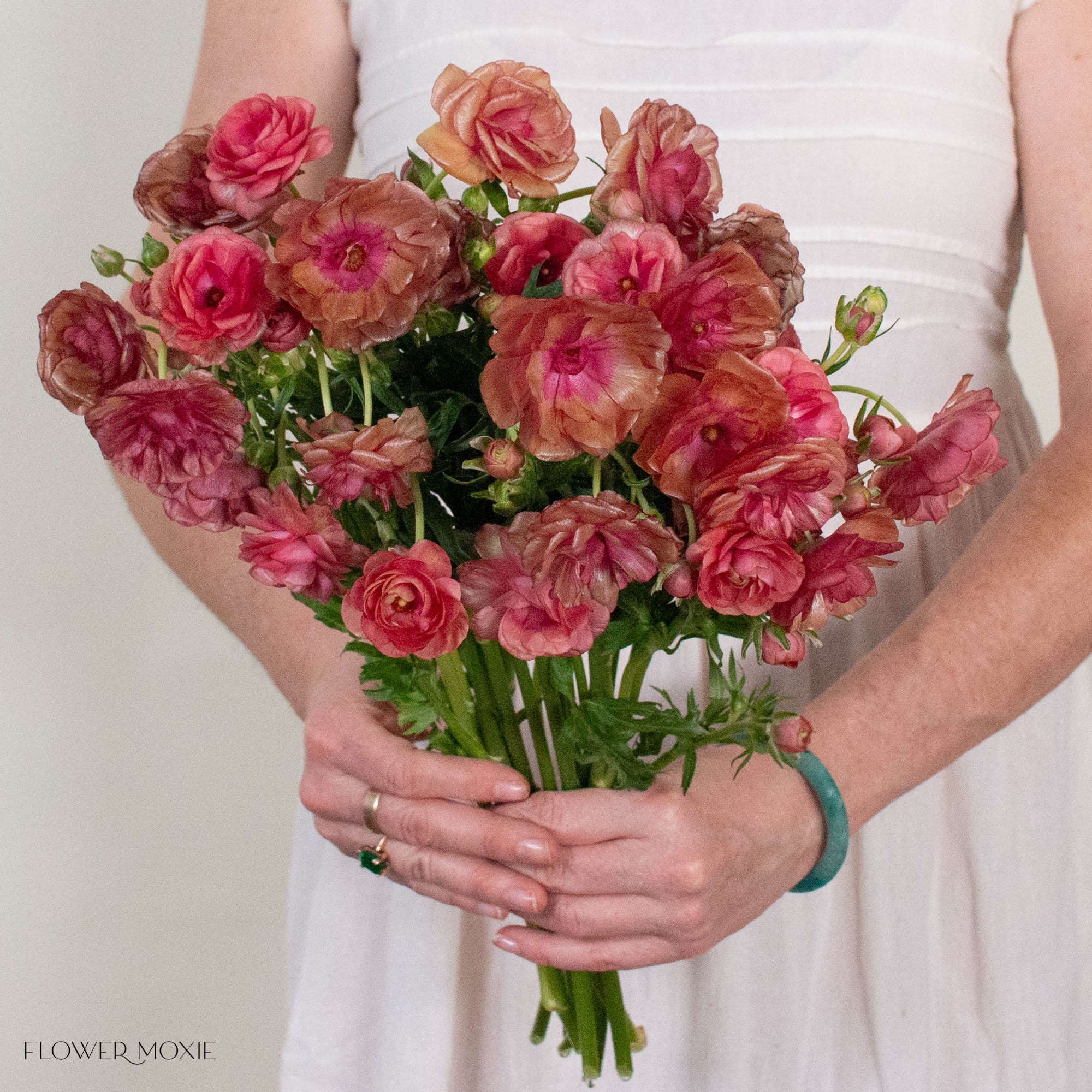 Mauve Coral Butterfly Ranunculus

