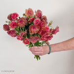 Mauve Coral Butterfly Ranunculus

