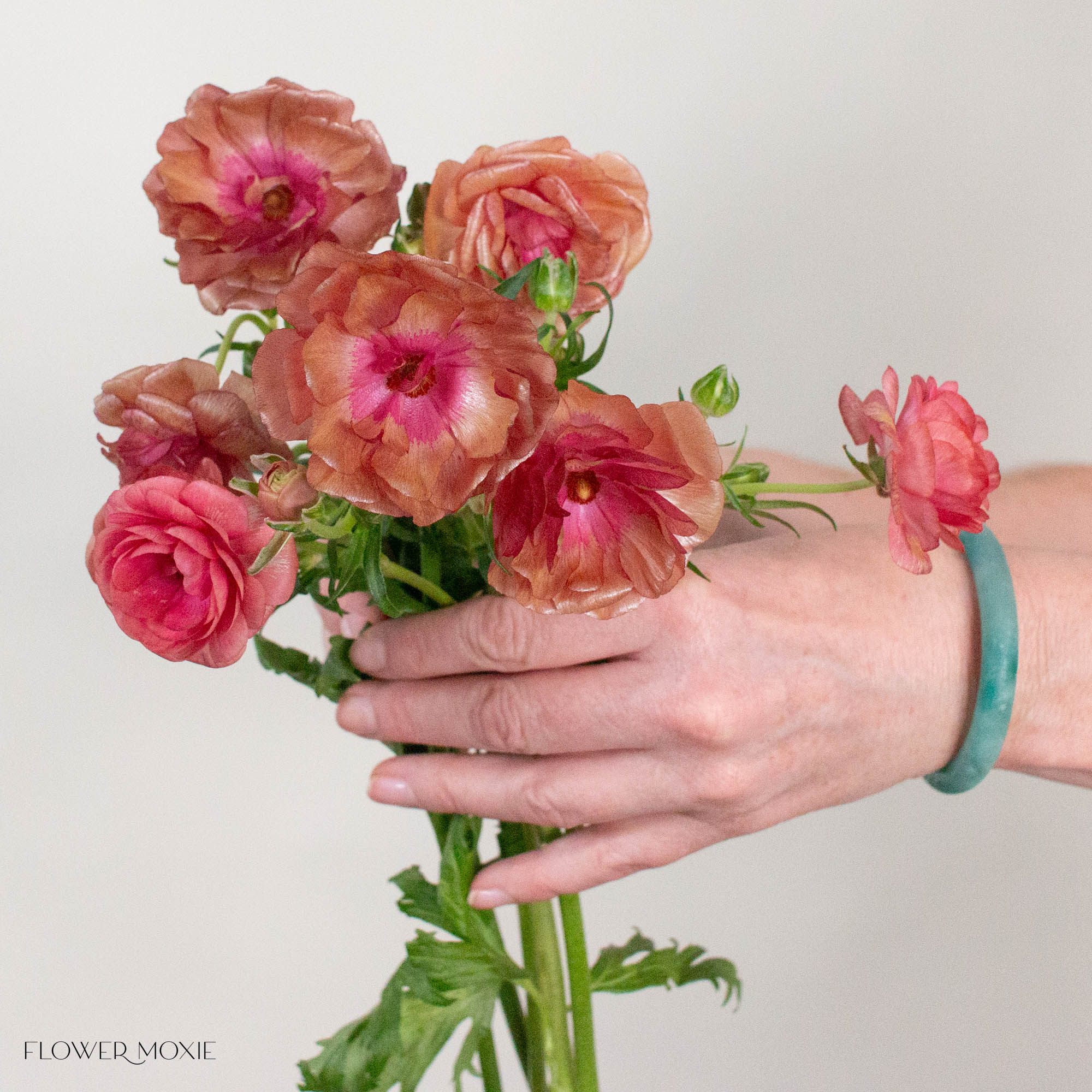 Mauve Coral Butterfly Ranunculus
