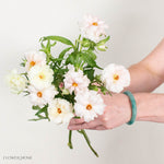 Blush Butterfly Ranunculus
