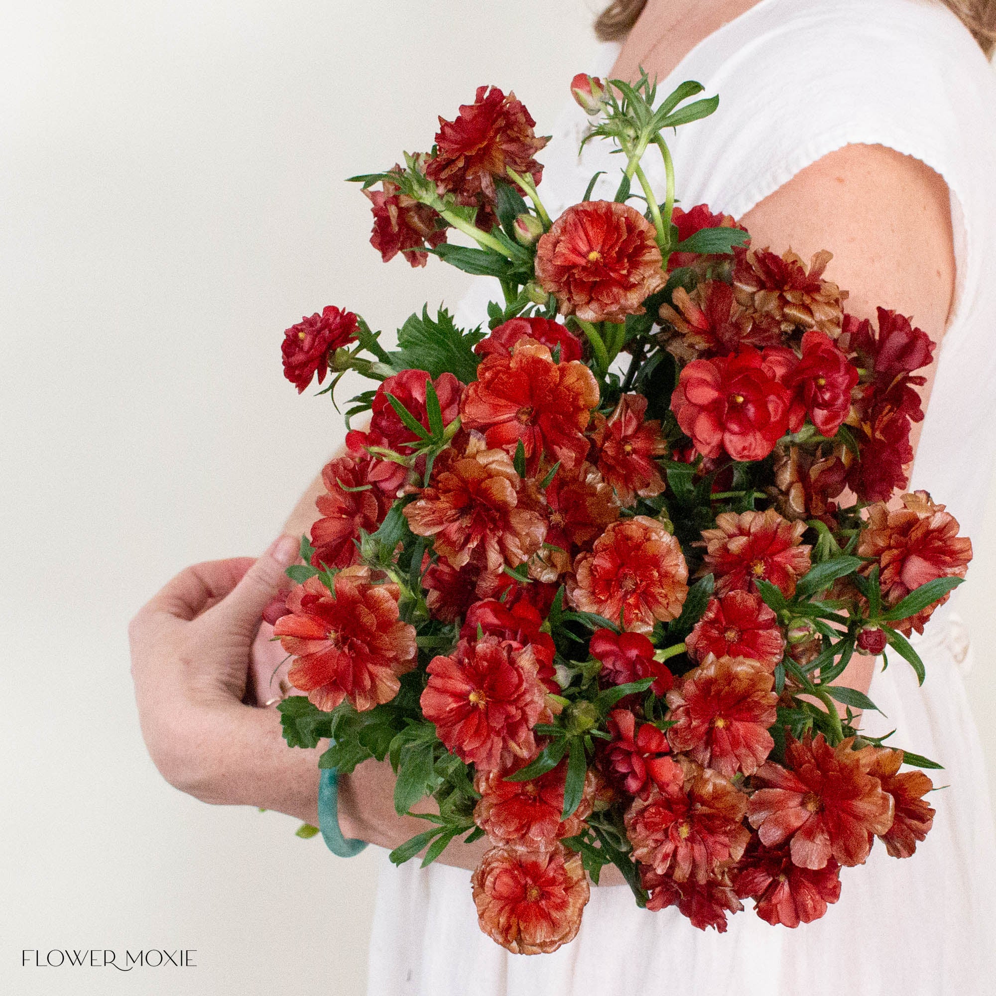 Red Butterfly Ranunculus
