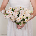 Blush Butterfly Ranunculus
