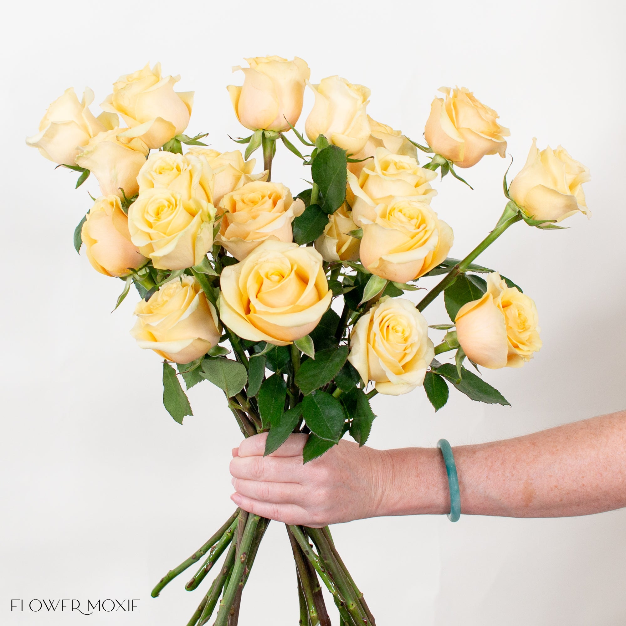 yellow butterscotch rose