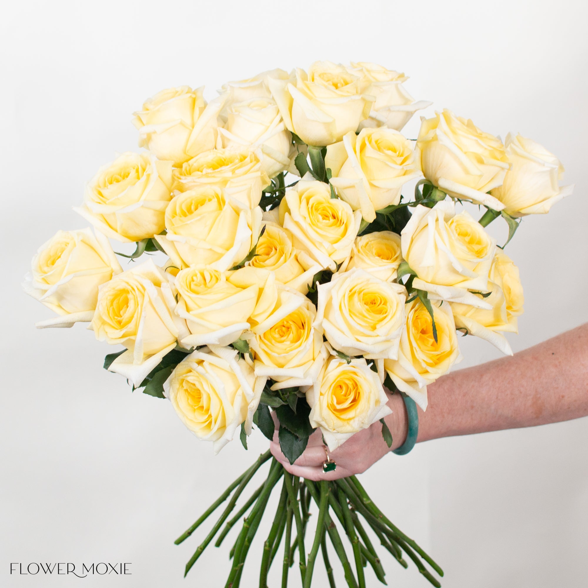 Light Yellow Carina Rose