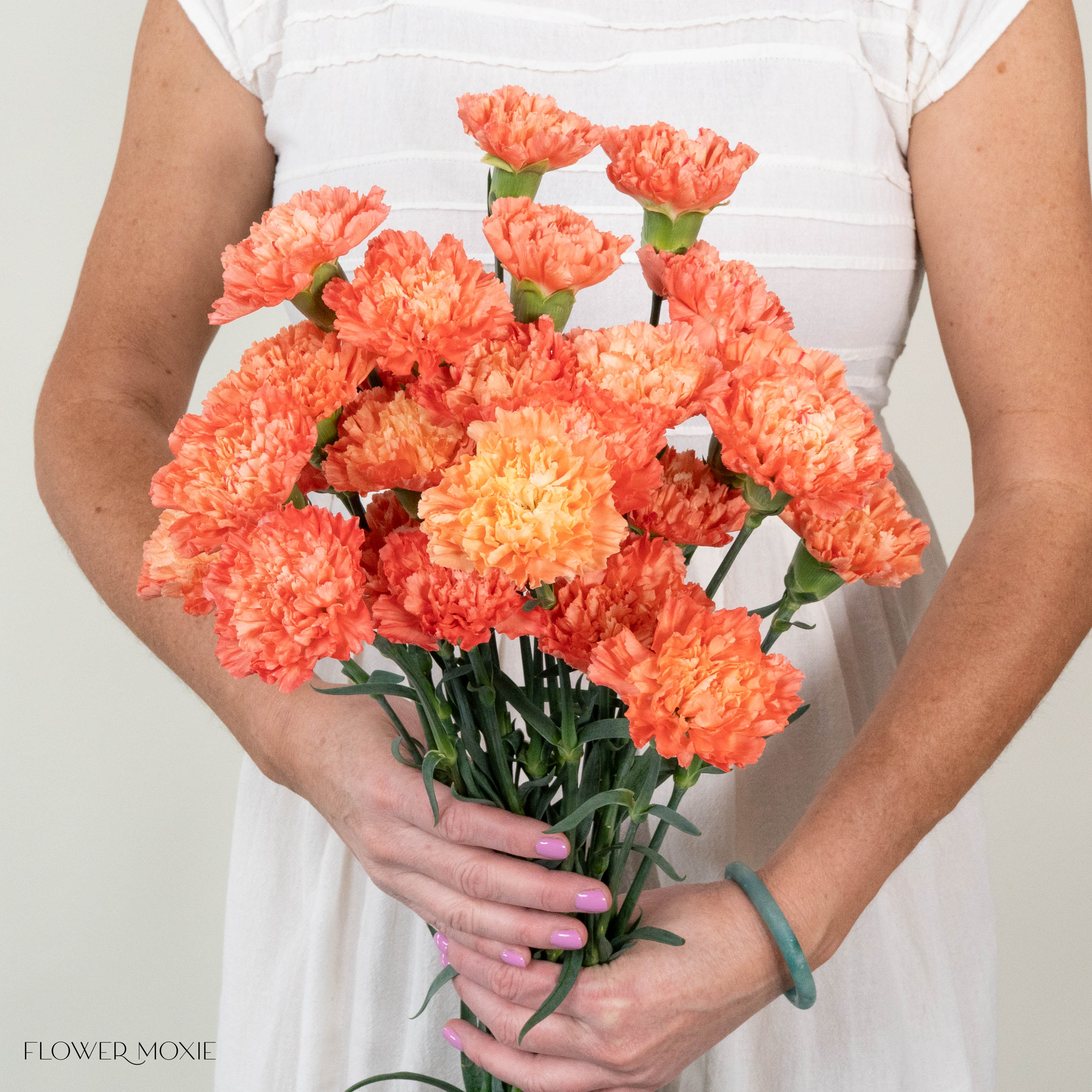 Apricot Carnation Flower