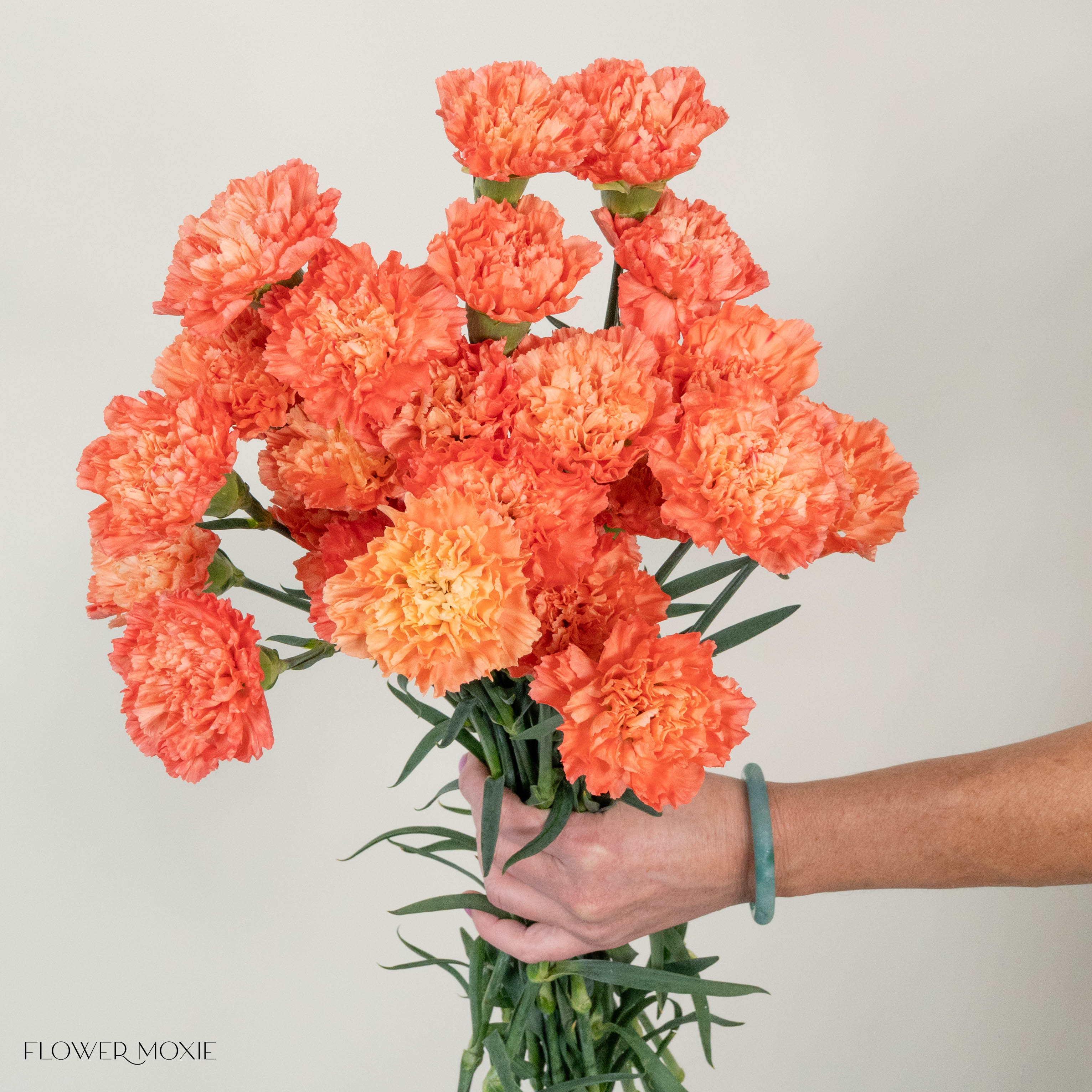 Apricot Carnation | Bulk Fresh DIY Wedding Flowers | Flower Moxie