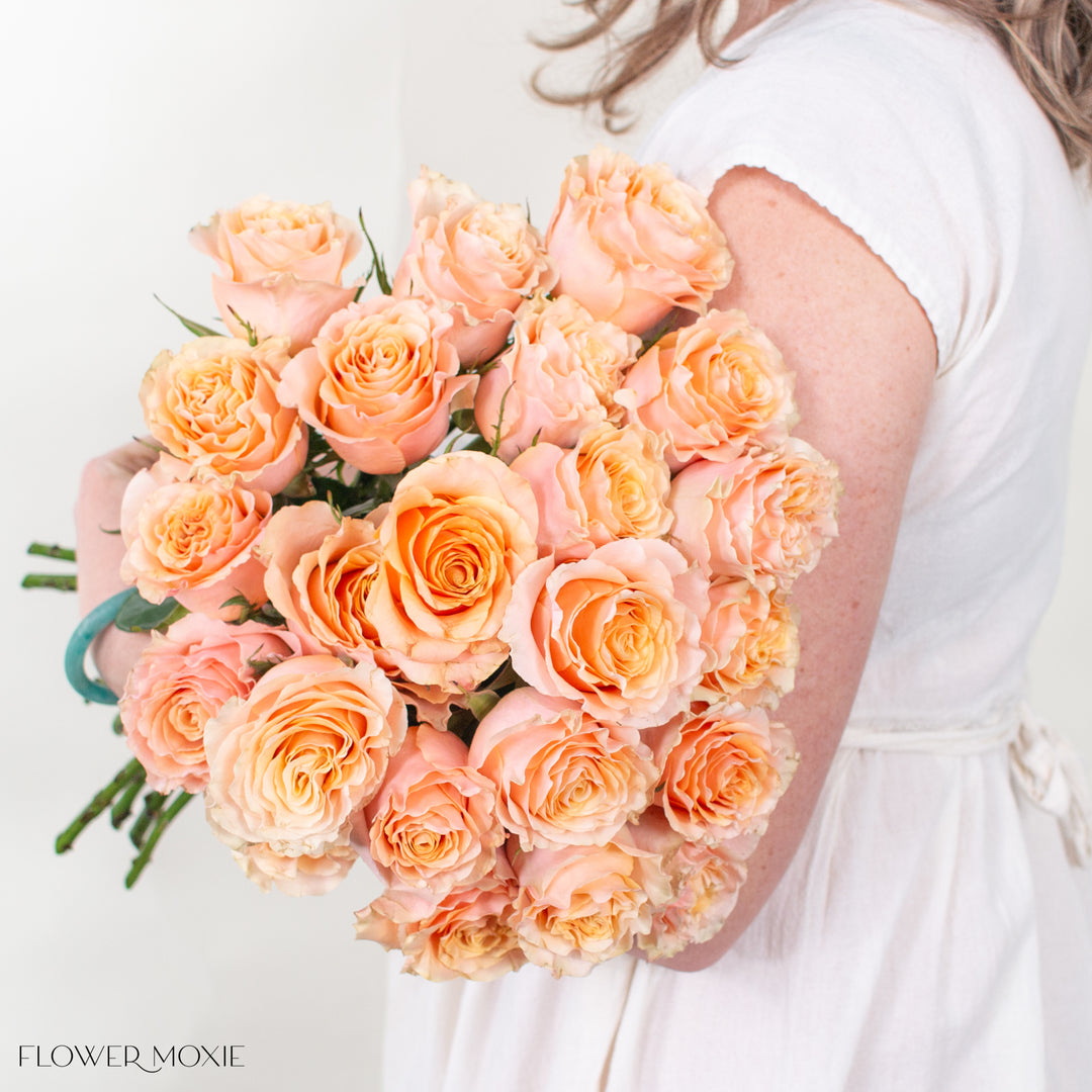 Peachy Pink Carpe Diem Garden Rose | DIY Wedding Flowers | Flower Moxie 50 Stems - per stem Peachy Pink Carpe Diem Garden Rose | DIY Wedding Flowers | Flower Moxie 50 Stems - per stem