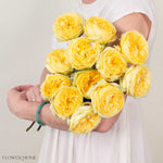 Yellow Catalina Garden Rose
