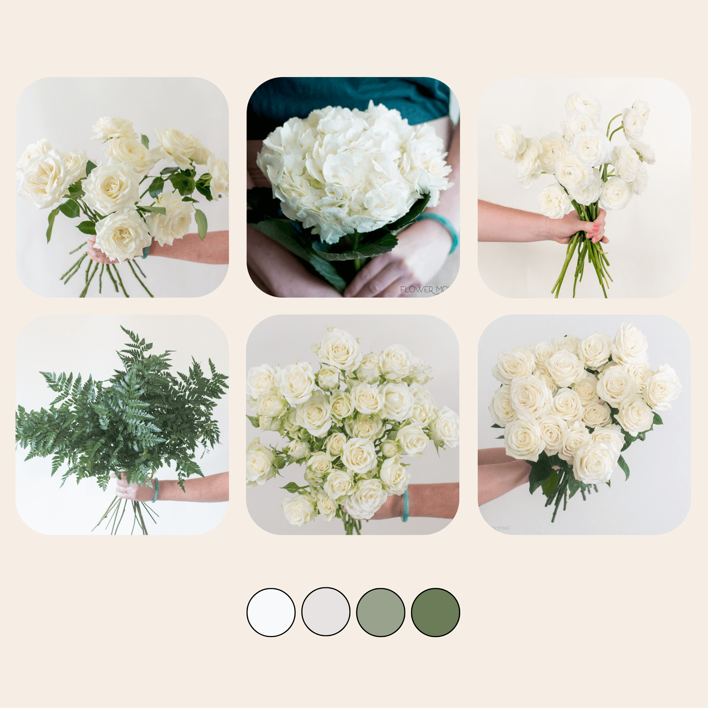 Classic Hydrangea Sample Box | Flower Moxie Bulk Flowers