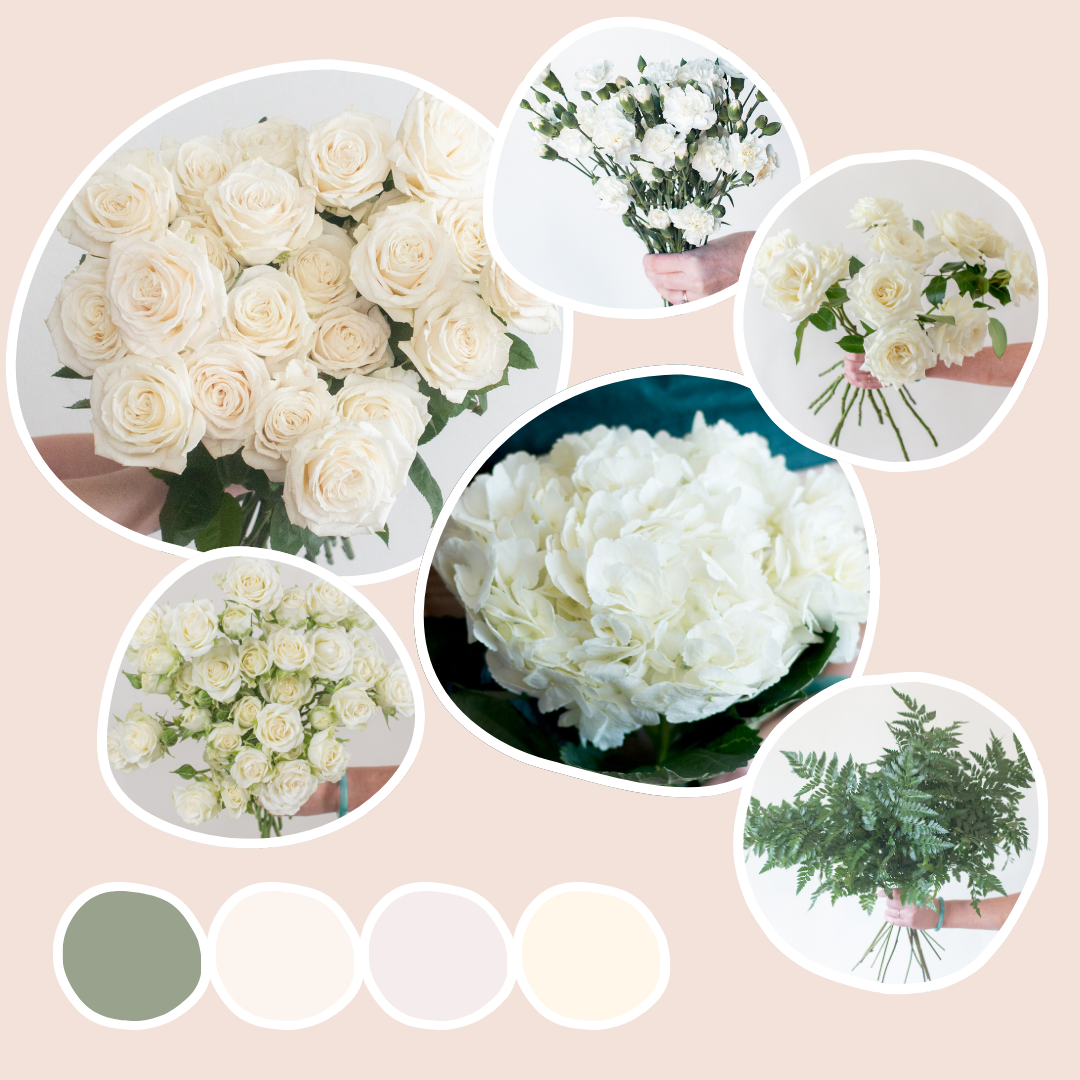 Hydrangea Sampling Classic Hydrangea Sample Box | Flower Moxie Bulk Flowers