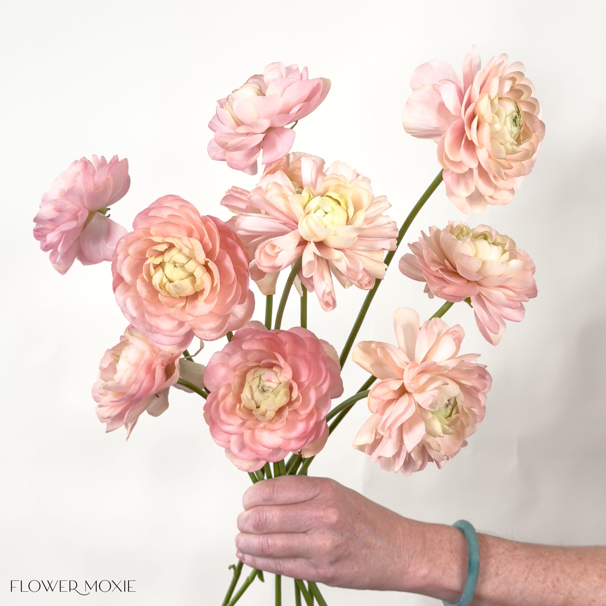 Peach Pastel Ranunculus Flower | Fresh DIY Wedding Flowers