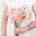 cloni success grand pastel ranunculus