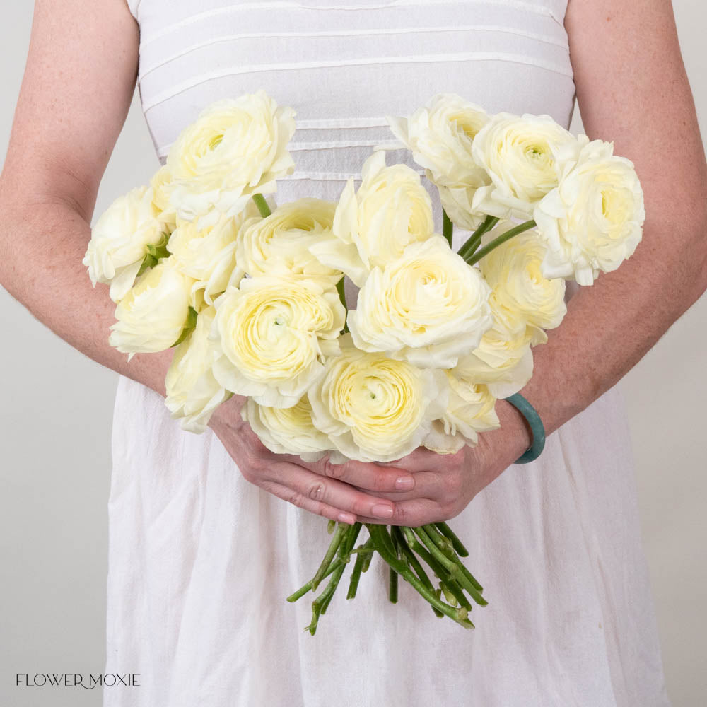 Vanilla Italian Ranunculus Flower
