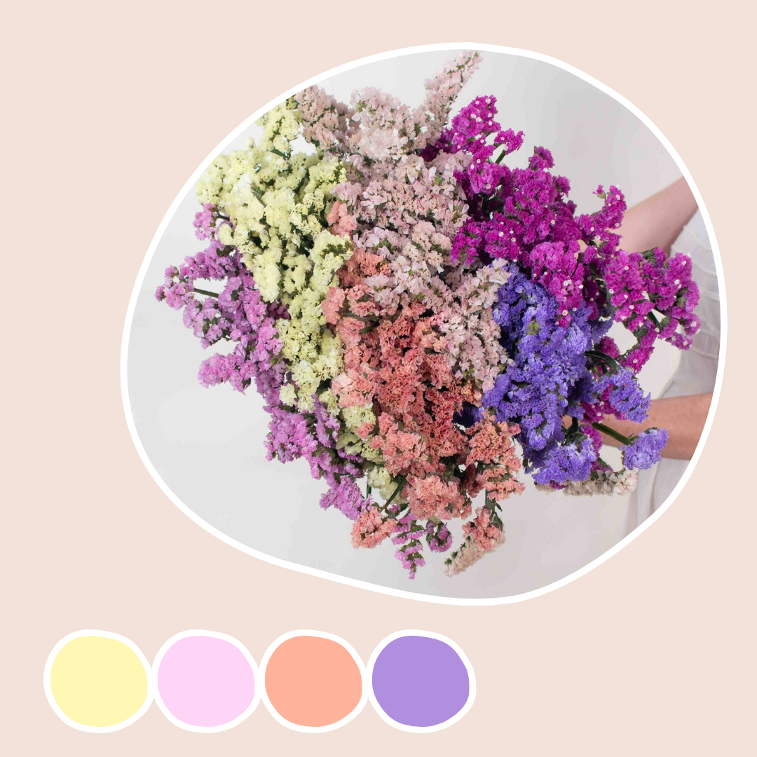 Colorful Statice Mixed Box
