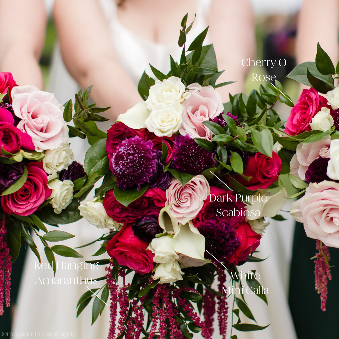 burgundy hanging plant Burgundy Hanging Amaranthus | DIY Wedding Flowers | Flower Moxie 50 Stems