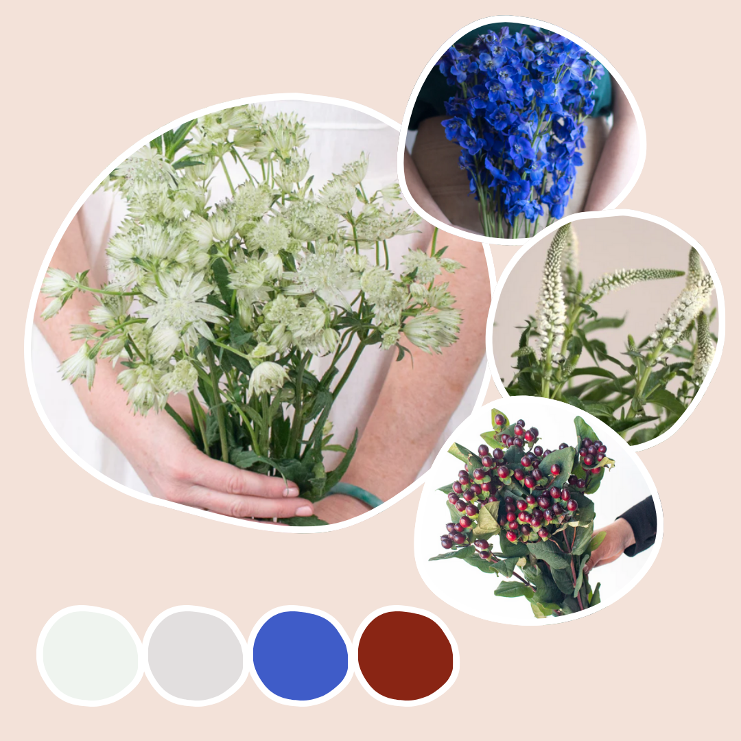 Cream Mixed Box – Frosted Garden
