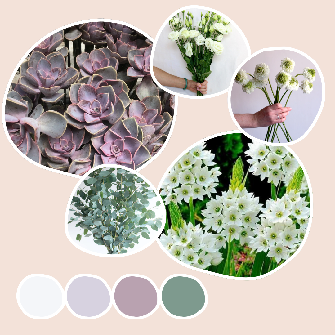 Cream Mixed Box - Modern Botamicals