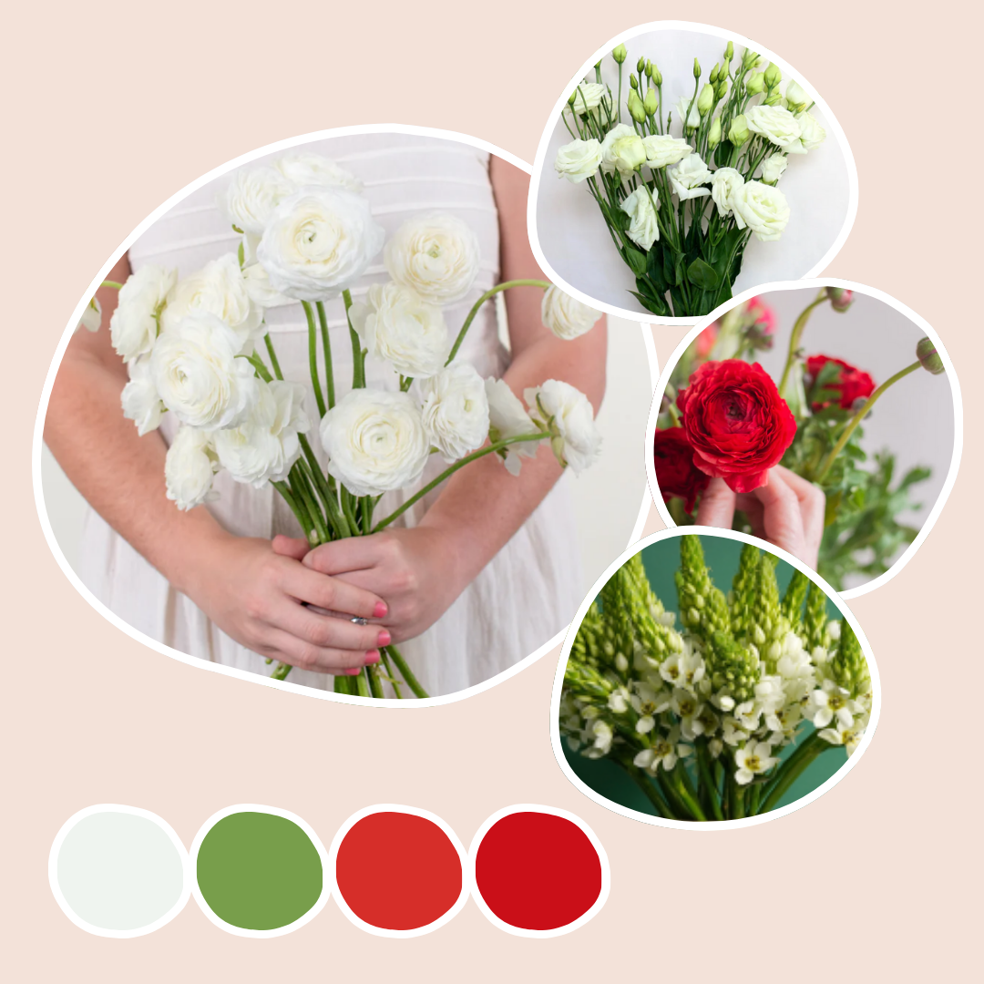 Cream Mixed Box – Winter Glow
