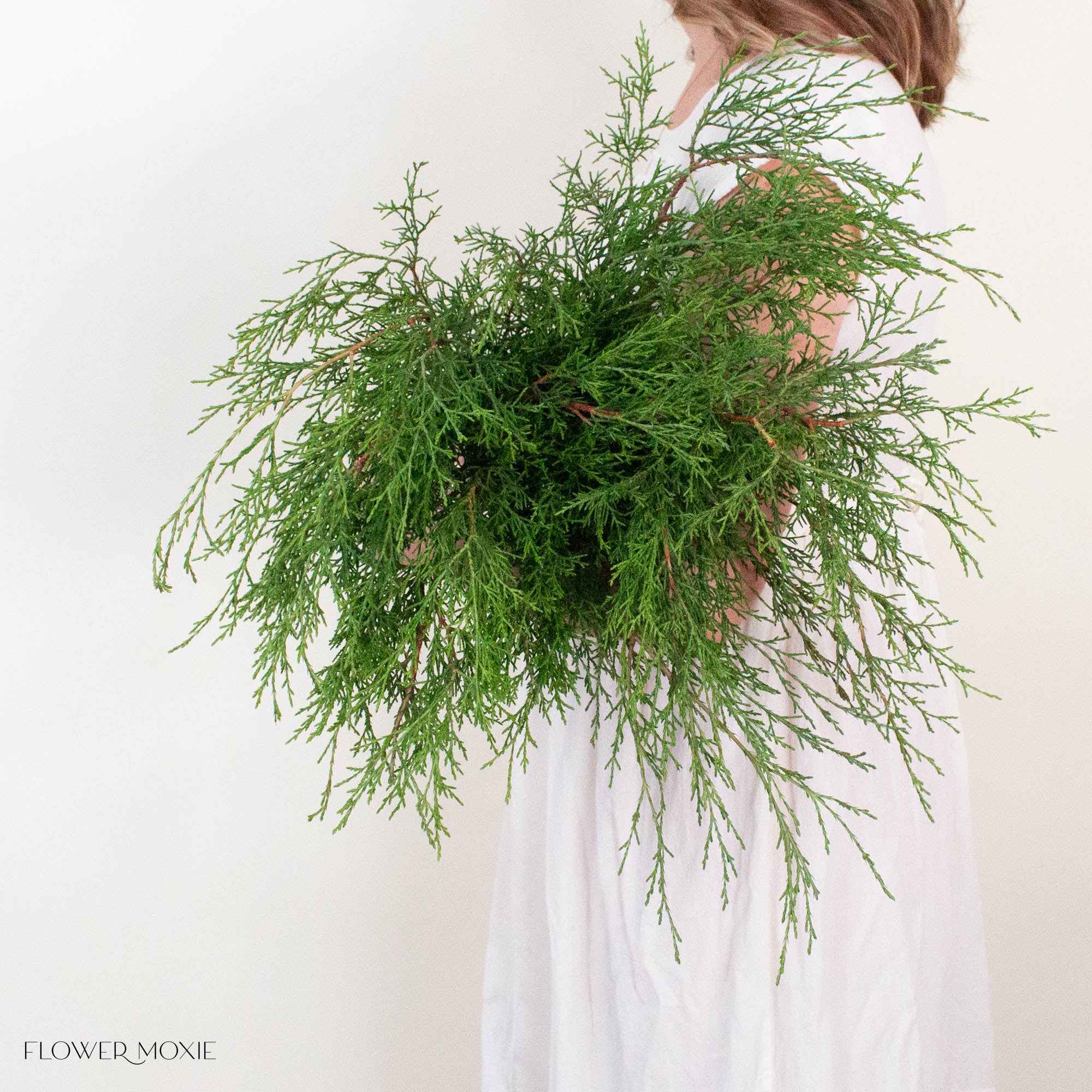 Cypress Greenery
