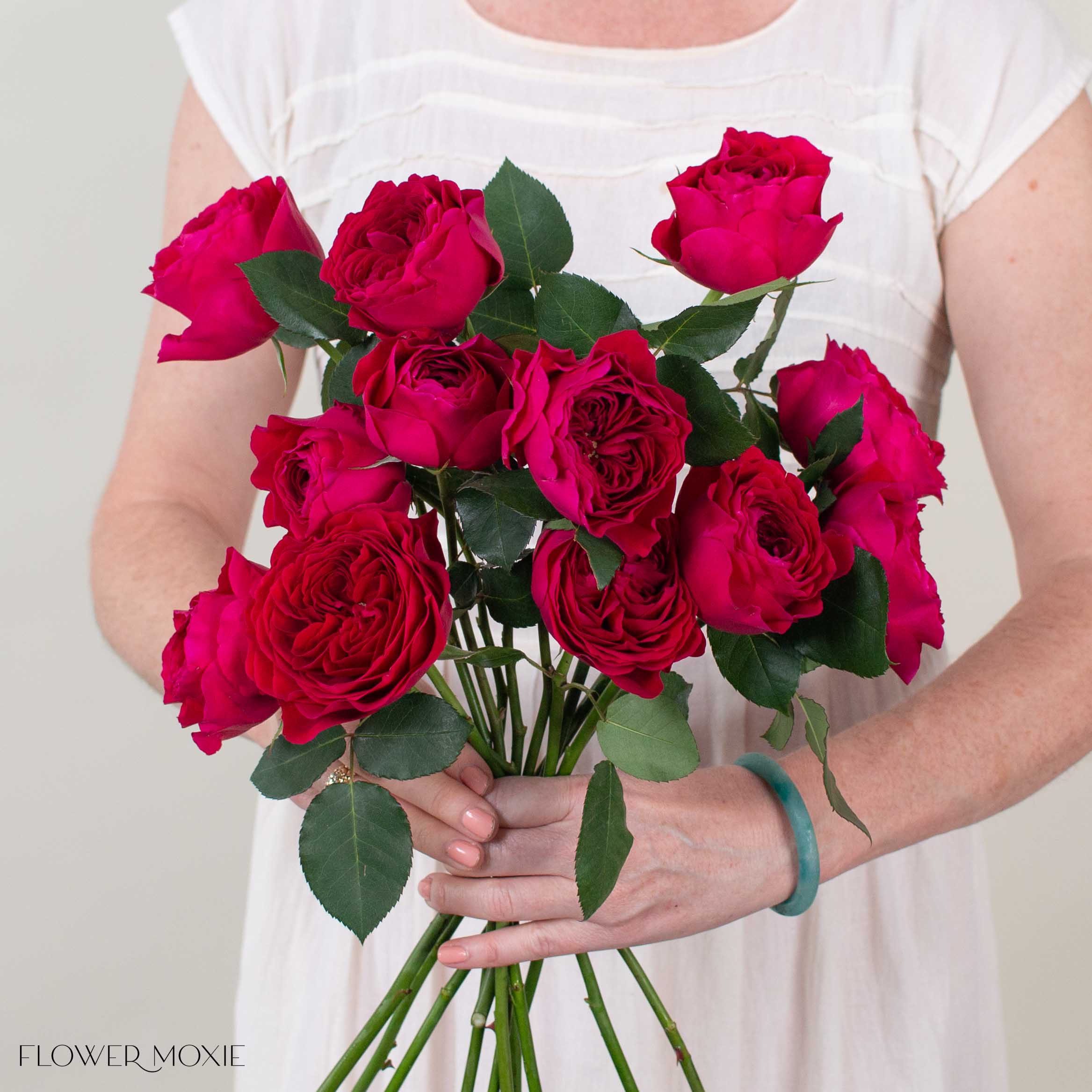 Raspberry Red Darcey David Austin Garden Rose
