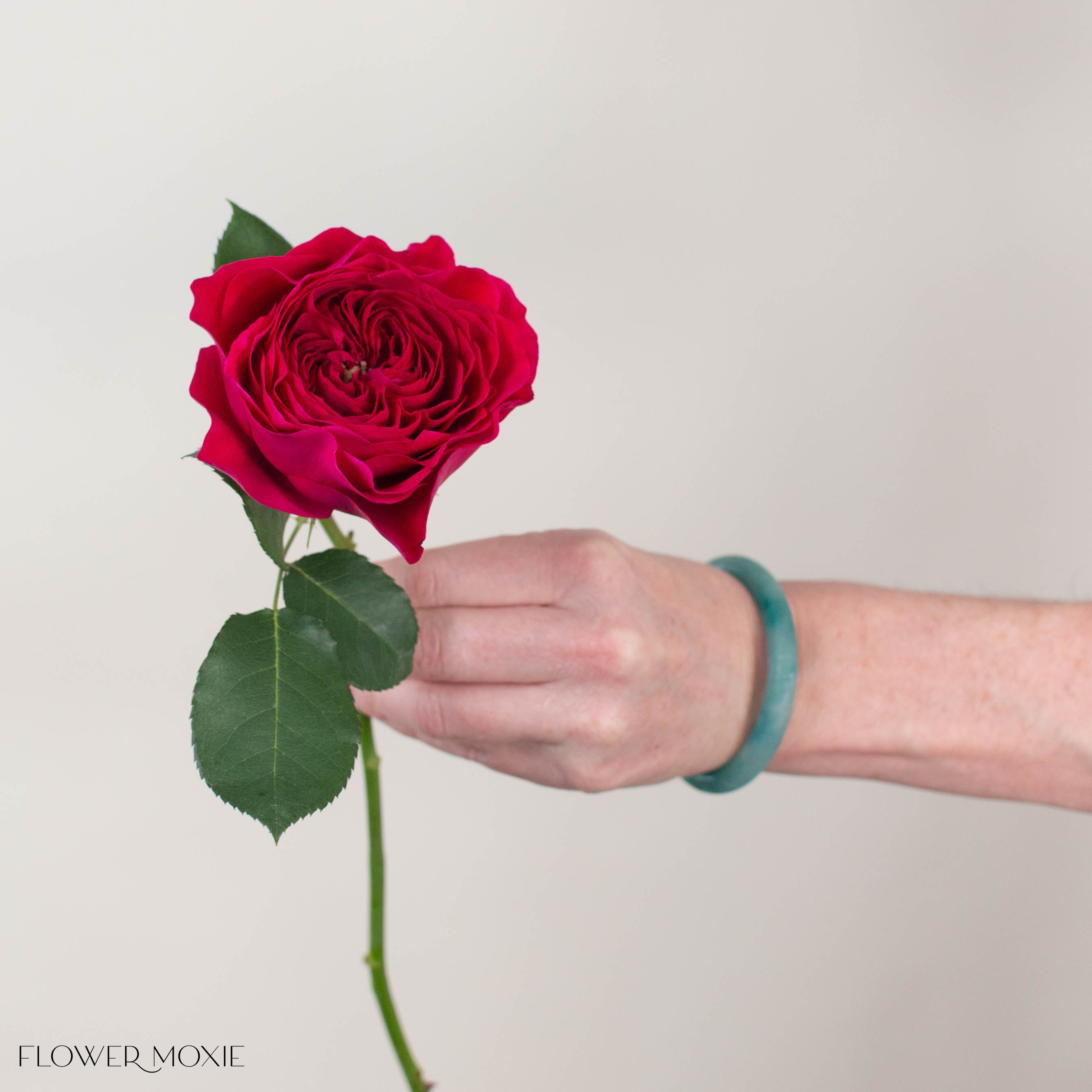 Raspberry Red Darcey David Austin Garden Rose | DIY Wedding