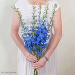 Giant Dark Blue Hybrid Delphinium Flower