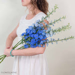 Giant Dark Blue Hybrid Delphinium Flower