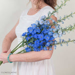 Giant Dark Blue Hybrid Delphinium Flower