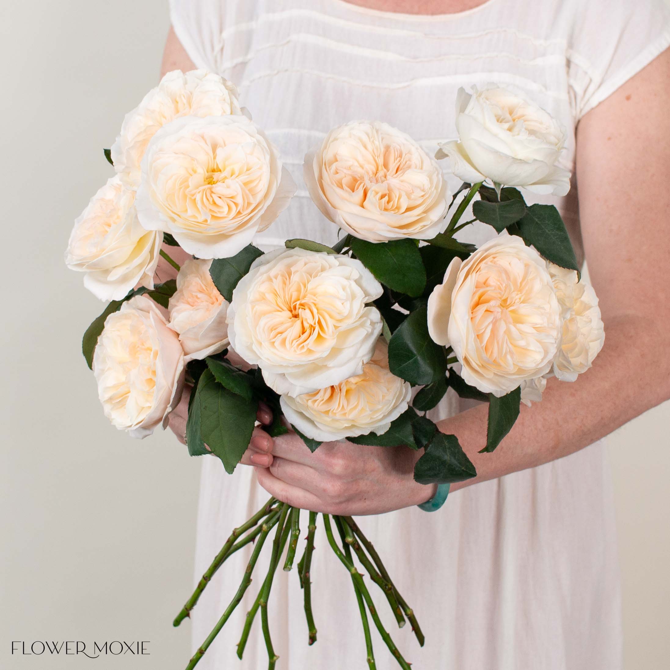 Creamy Apricot Bessie David Austin Garden Rose | DIY Wedding
