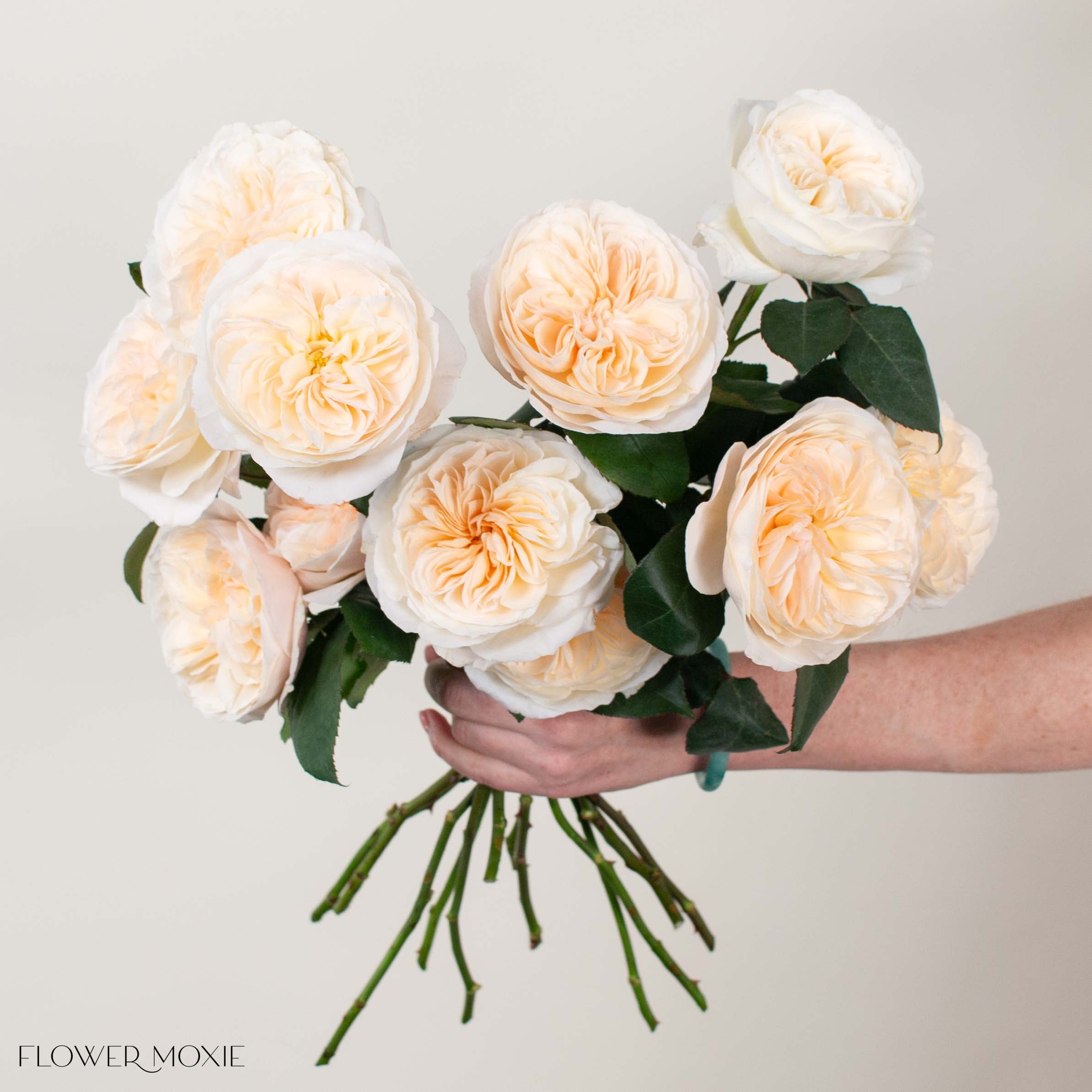 Creamy Apricot Bessie David Austin Garden Rose | DIY Wedding