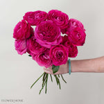 Deep Pink Capability David Austin Garden Rose