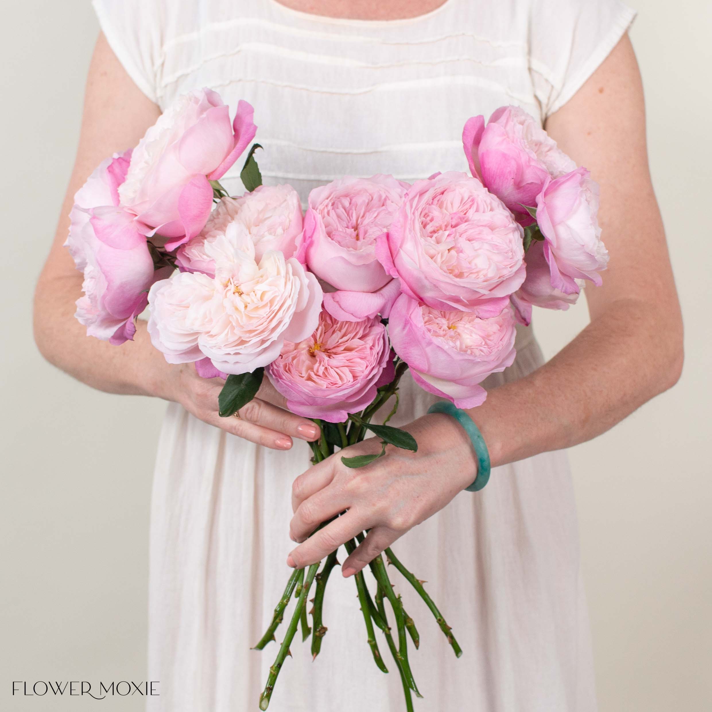 Soft Pink Constance David Austin Garden Rose | DIY Wedding Flowers