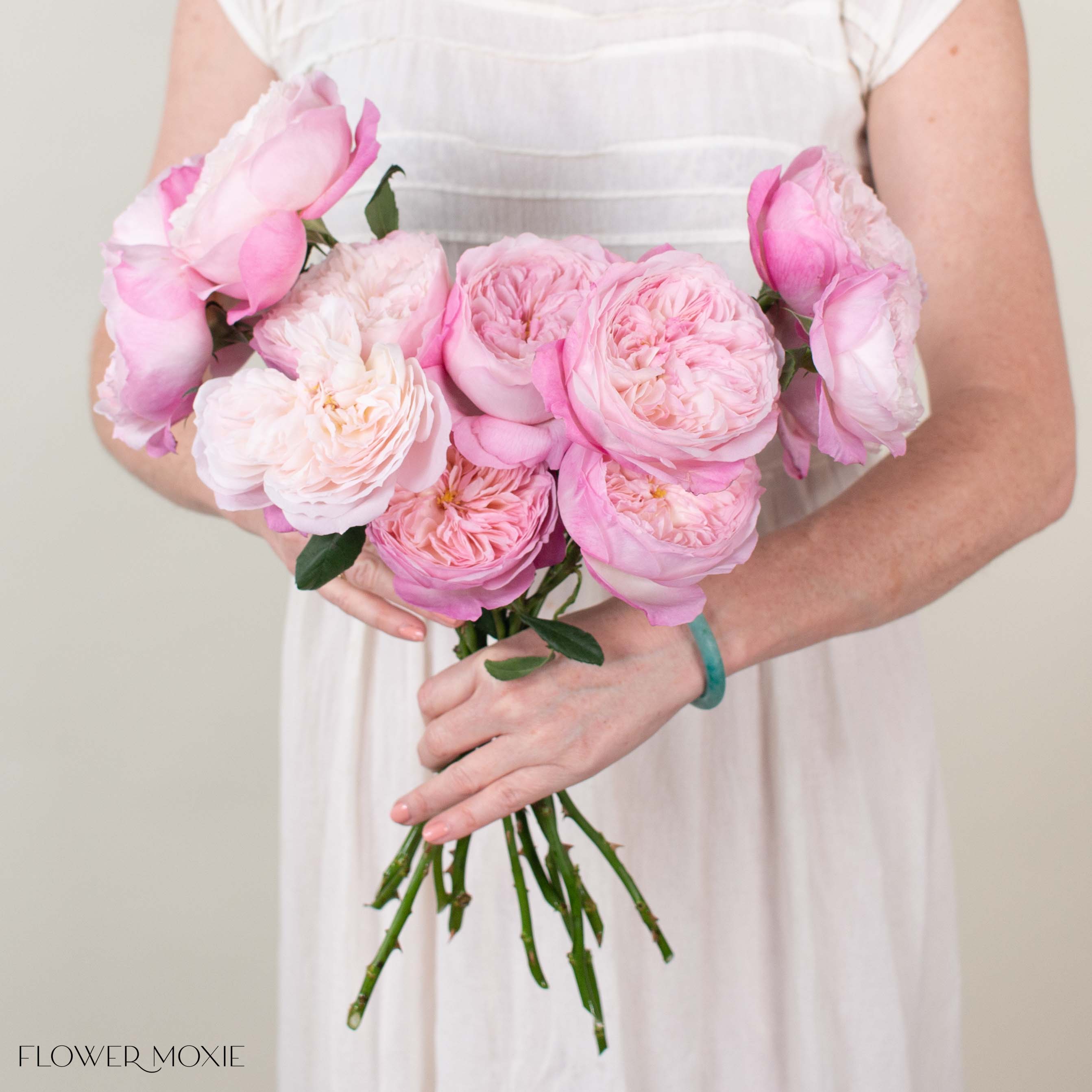 Soft Pink Constance David Austin Garden Rose | DIY Wedding Flowers